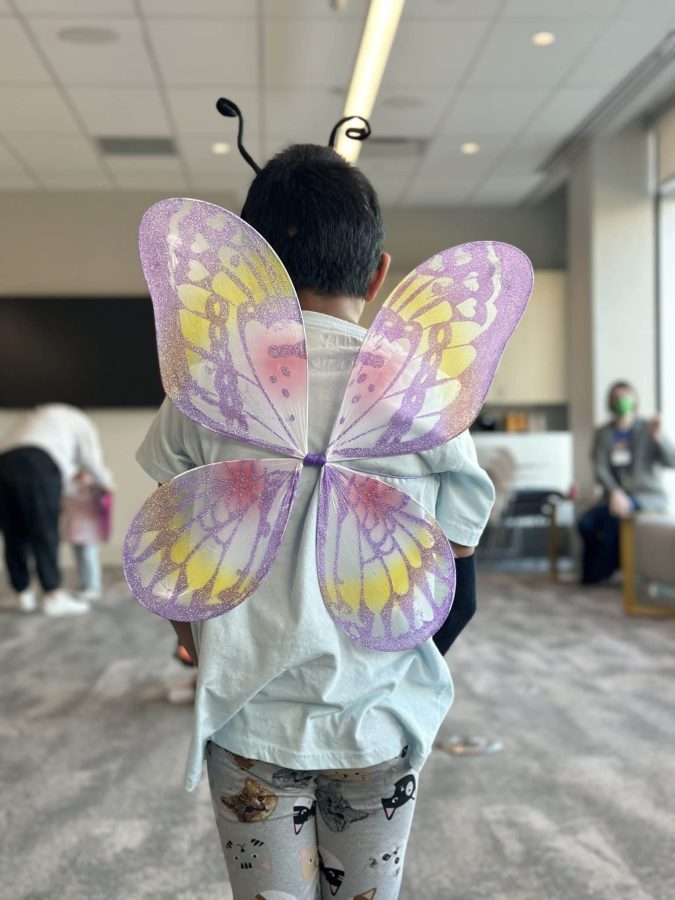 Image from Programs they love - Little boy showing his butterfly wings