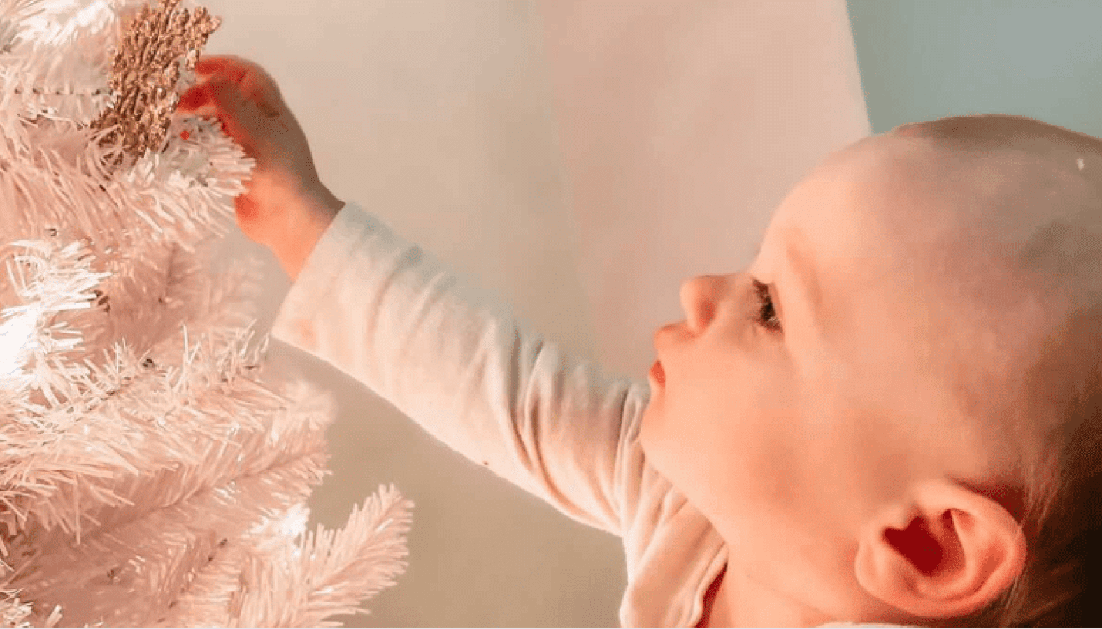 Image from Comfort and Joy - Baby touching a Christmas Tree
