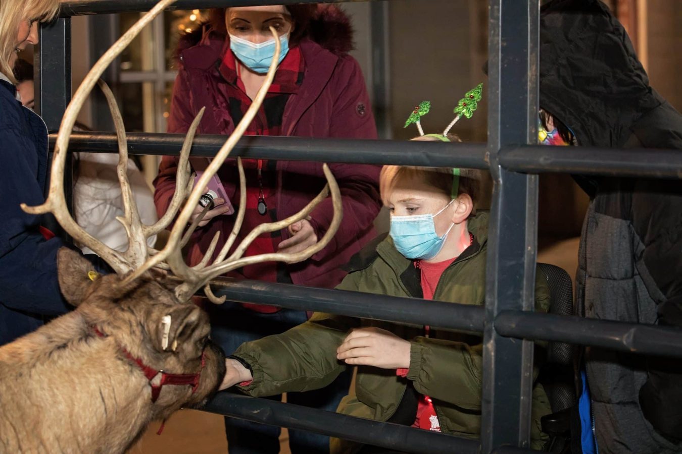 Image from Comfort and Joy - Kid holding a reindeer