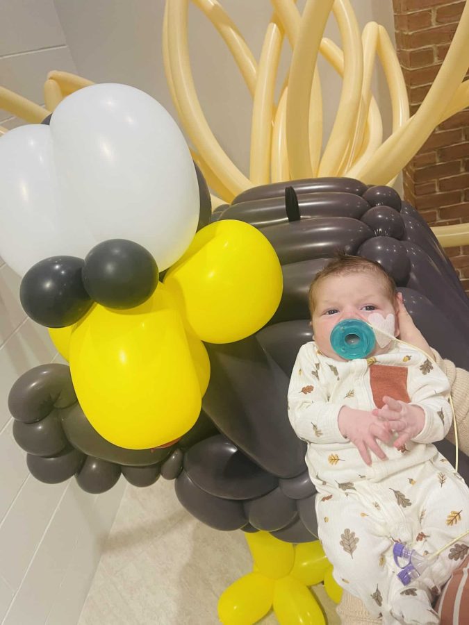 Image of Holsten - A picture of Holsten with balloons